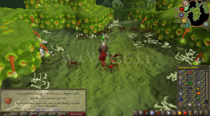 96hp