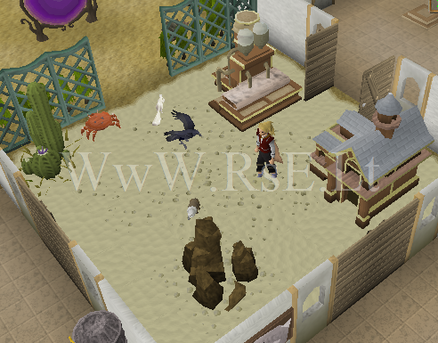 pet room